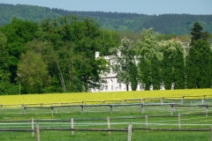 Malerisch eingebettet zwischen dem Oberurseler Ortsteil Oberstedten und dem Bad Homburger Ortsteil Dornholzhausen liegen die Koppeln des RVO
